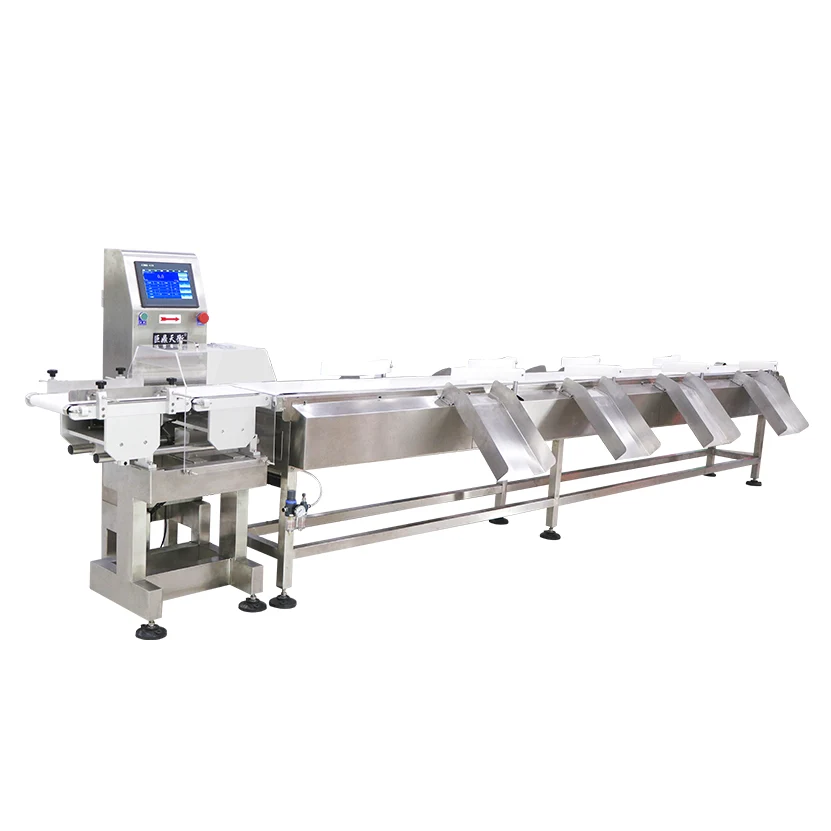 Multi Level Weight Sorting Equipment