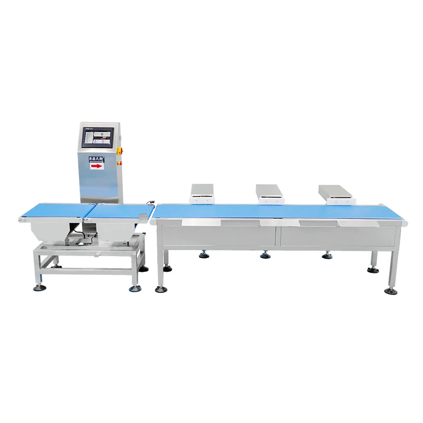 Multi Level Weight Sorting Equipment